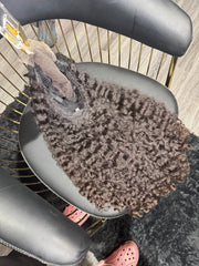 Burmese Curly Unit